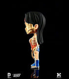 XXRay Mighty Jaxx DC: Wonder Woman Dissected Vinyl Art Figure